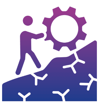 Image 2025 07 09 T07 58 00